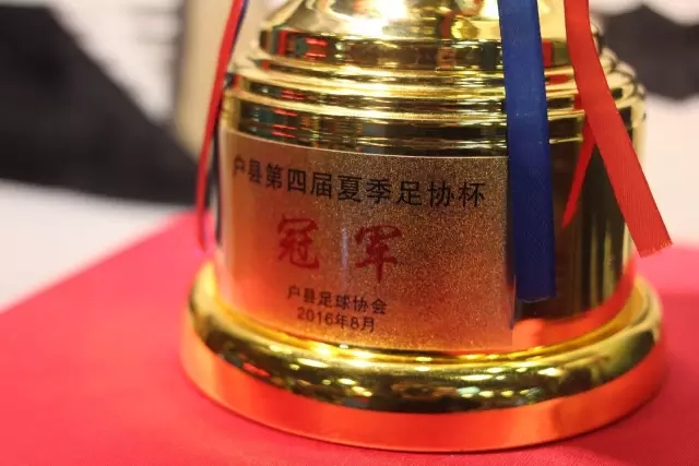 图片报：汉堡试图签下法比奥-维埃拉